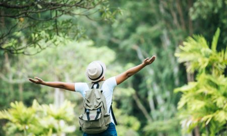How ecotourism careers blend travel with environmental impact.
